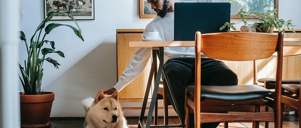 Online IT training with certificate